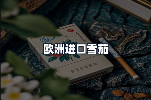 欧洲进口雪茄